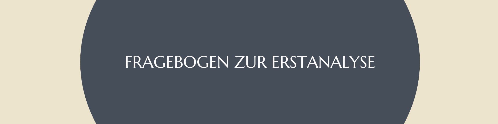 Fragebogen zur Erstanalyse
