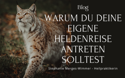Warum du deine eigene Heldenreise antreten solltest